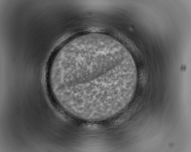 X0000102500730200809051345