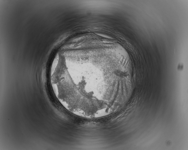 X0000102500734200809051345