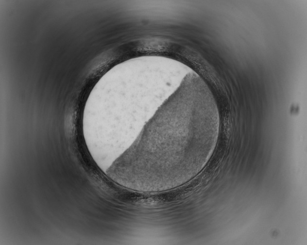 X0000102500735200809051345