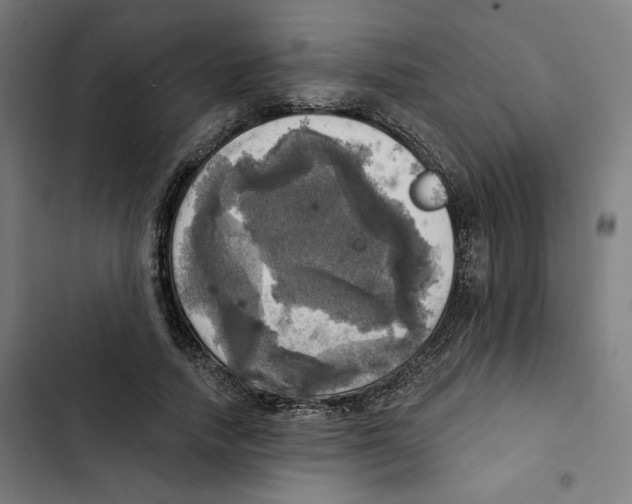 X0000102500738200809051345