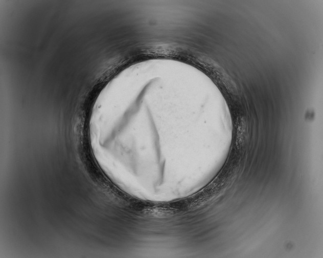 X0000102500739200809051345