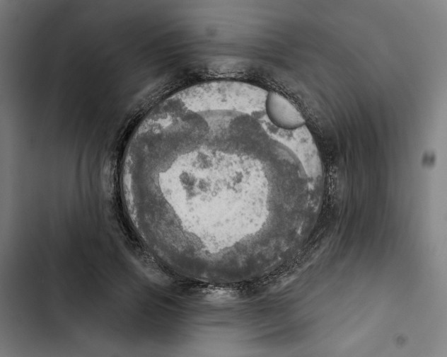 X0000102500741200809051345