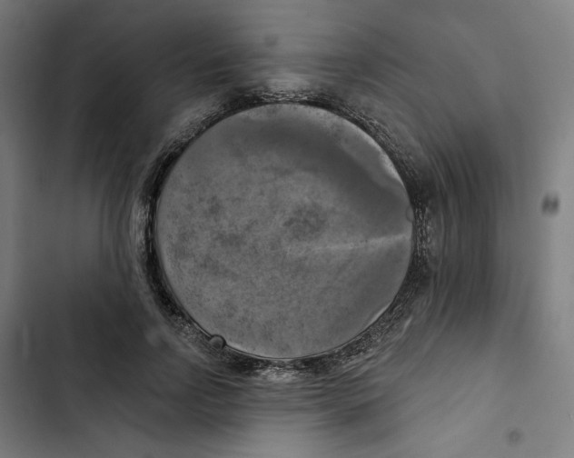 X0000102500742200809051345