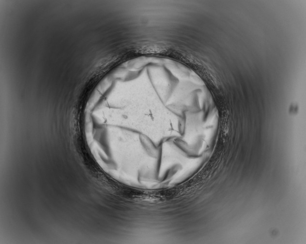 X0000102500743200809051345