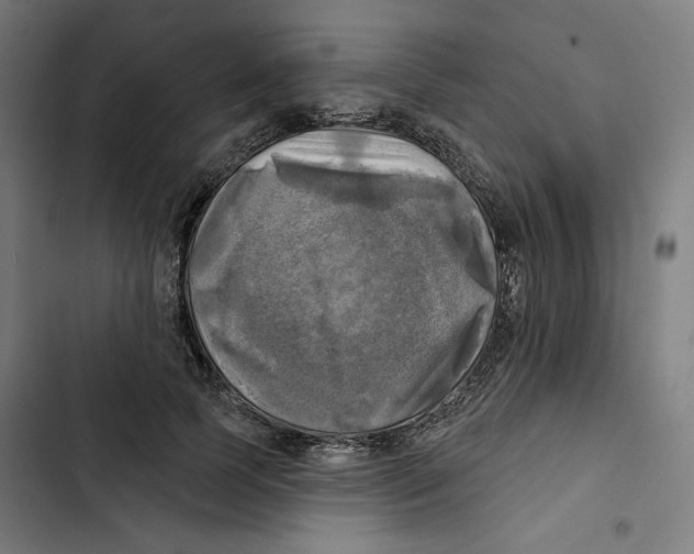 X0000102500745200809051345