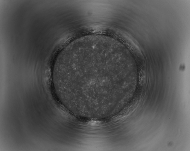 X0000102500748200809051345