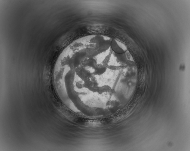 X0000102500749200809051345