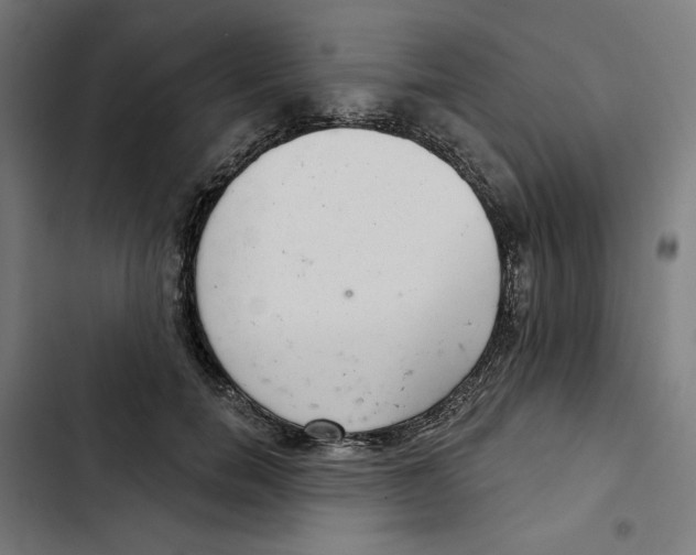 X0000102500750200809051345