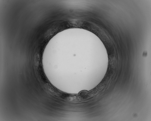 X0000102500752200809051345