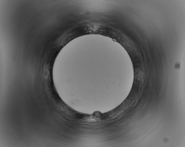 X0000102500754200809051345