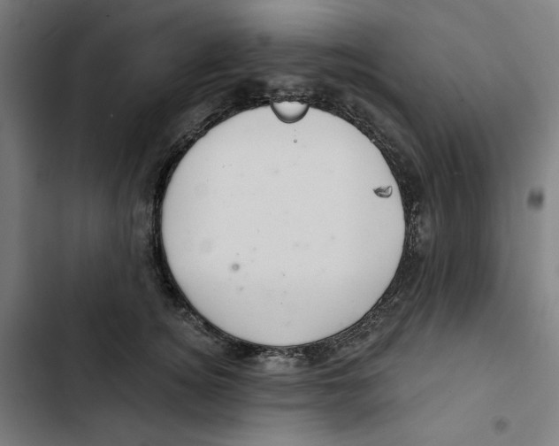 X0000102500756200809051345