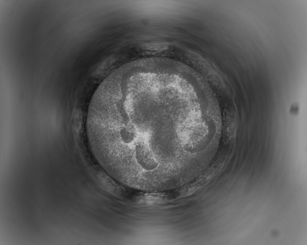 X0000102500758200809051345