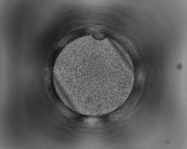 X0000102500759200809051345