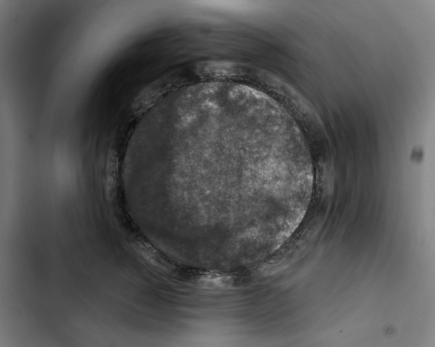 X0000102500760200809051345