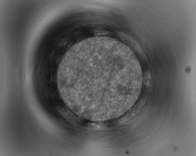 X0000102500763200809051345