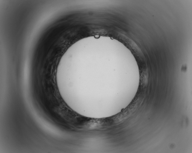 X0000102500764200809051345