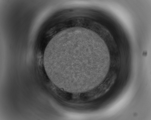 X0000102500766200809051345