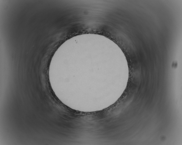 X0000102500769200809051345