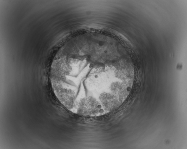 X0000102500774200809051345