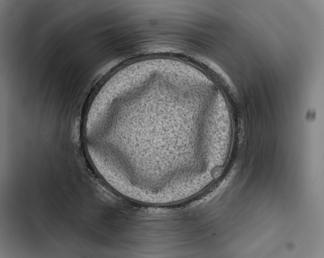 X0000102500777200809051344