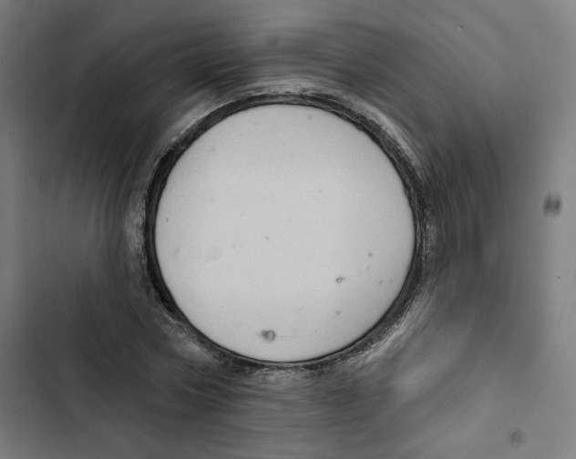 X0000102500778200809051344