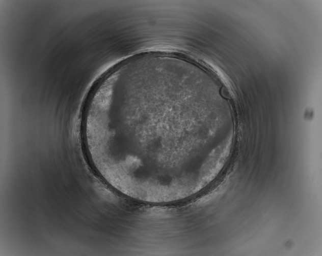 X0000102500779200809051344