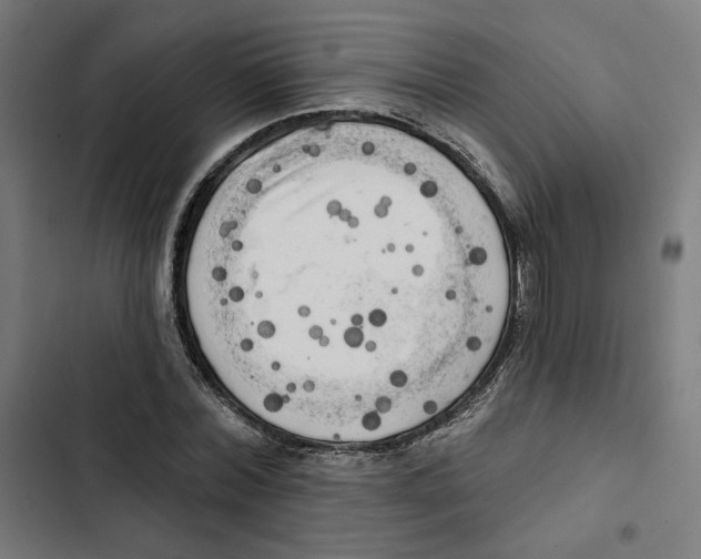 X0000102500780200809051344