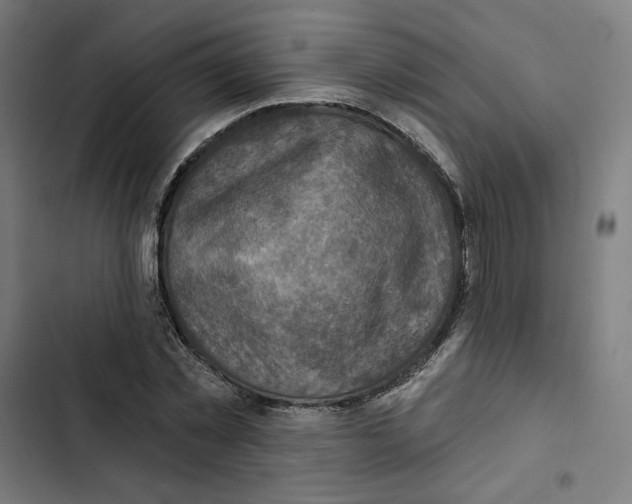 X0000102500781200809051344