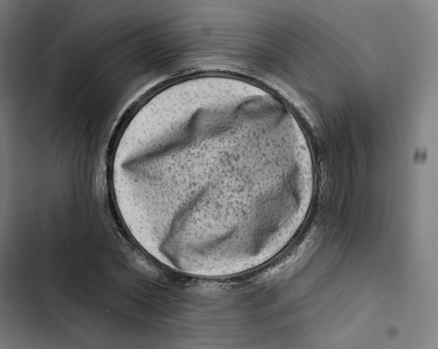 X0000102500782200809051344