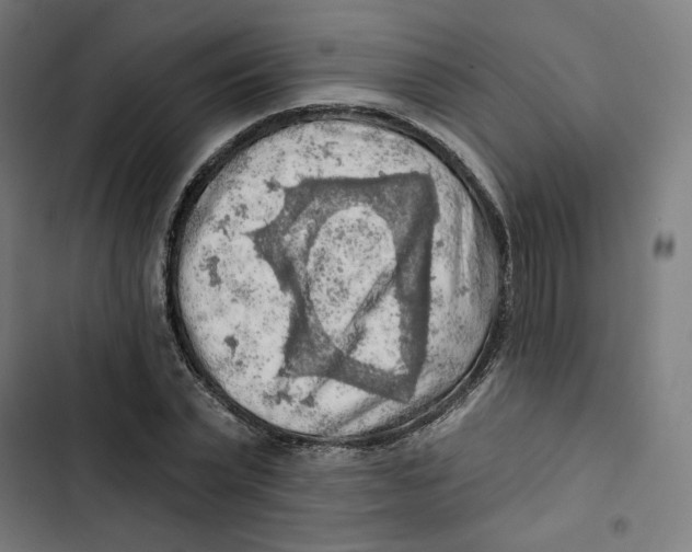 X0000102500783200809051344