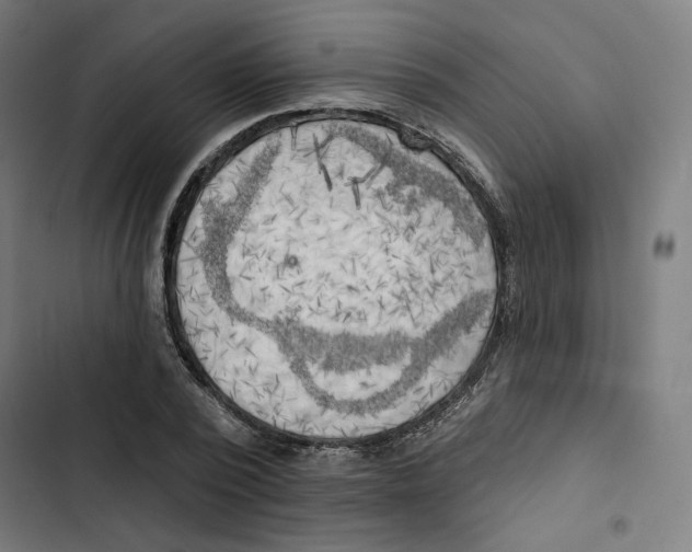 X0000102500784200809051344