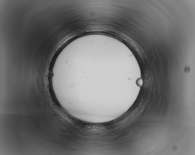 X0000102500786200809051344