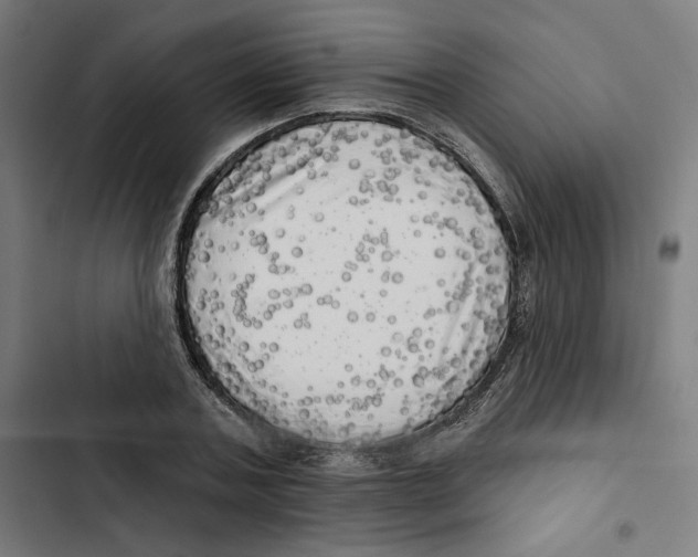 X0000102500787200809051344