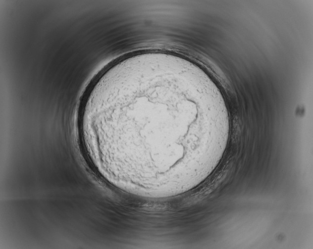 X0000102500788200809051344