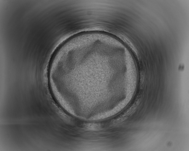 X0000102500789200809051344