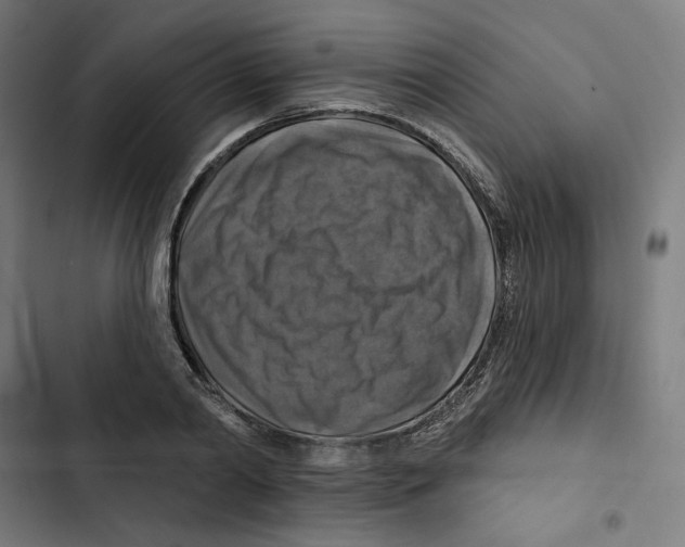 X0000102500790200809051344