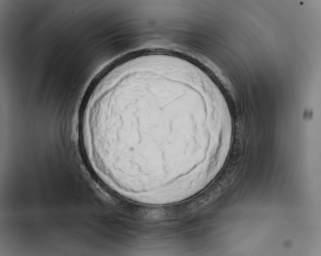 X0000102500791200809051344