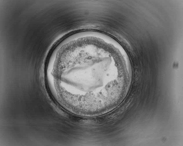 X0000102500792200809051344