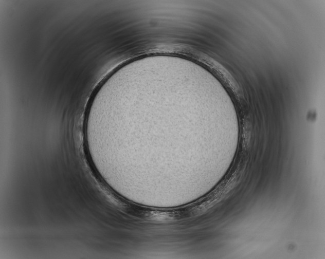 X0000102500794200809051344