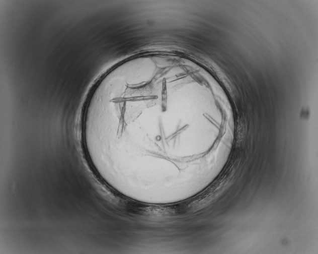 X0000102500795200809051344