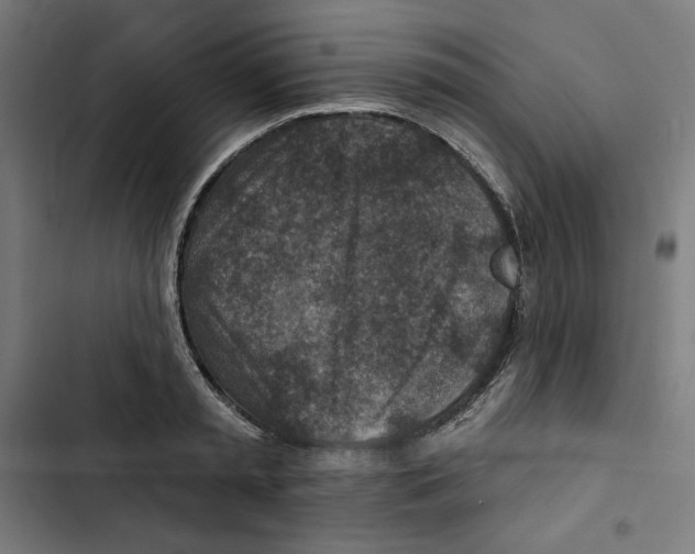 X0000102500797200809051344