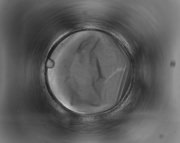 X0000102500798200809051344