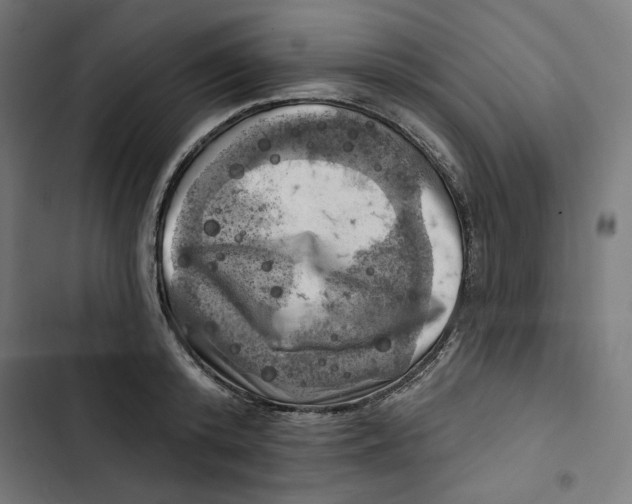 X0000102500800200809051344