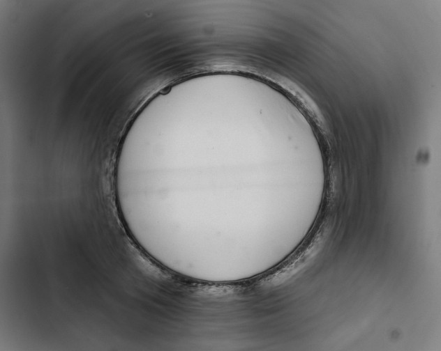 X0000102500801200809051344