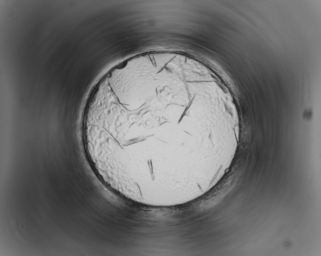 X0000102500803200809051344