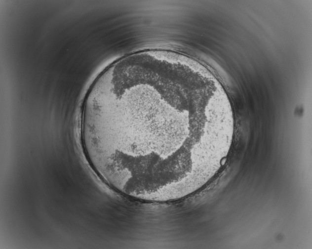 X0000102500804200809051344