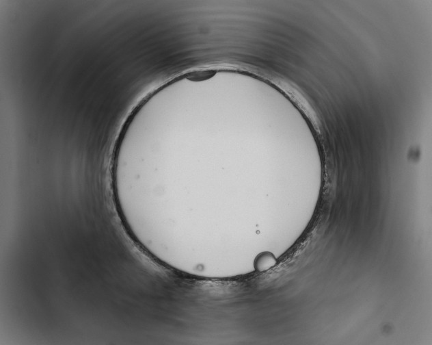 X0000102500805200809051344