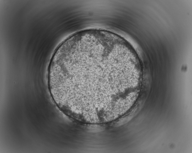 X0000102500807200809051344