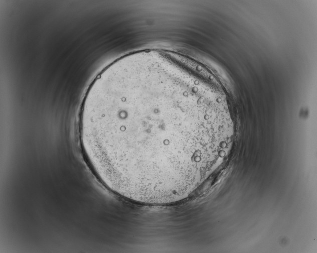 X0000102500808200809051344