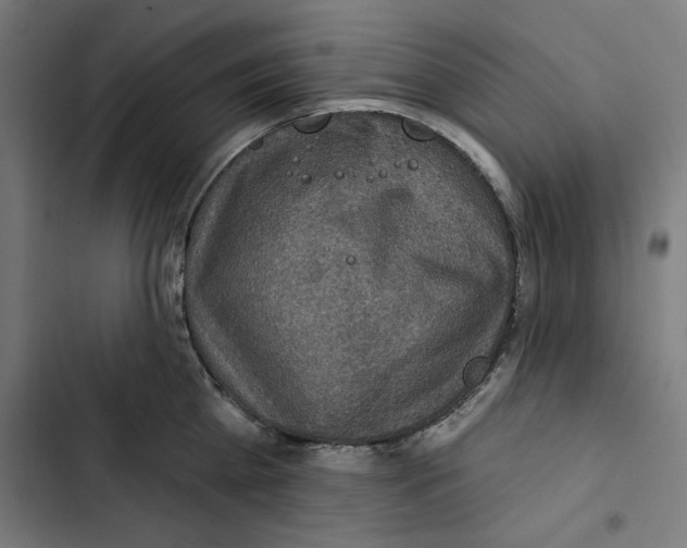 X0000102500809200809051344